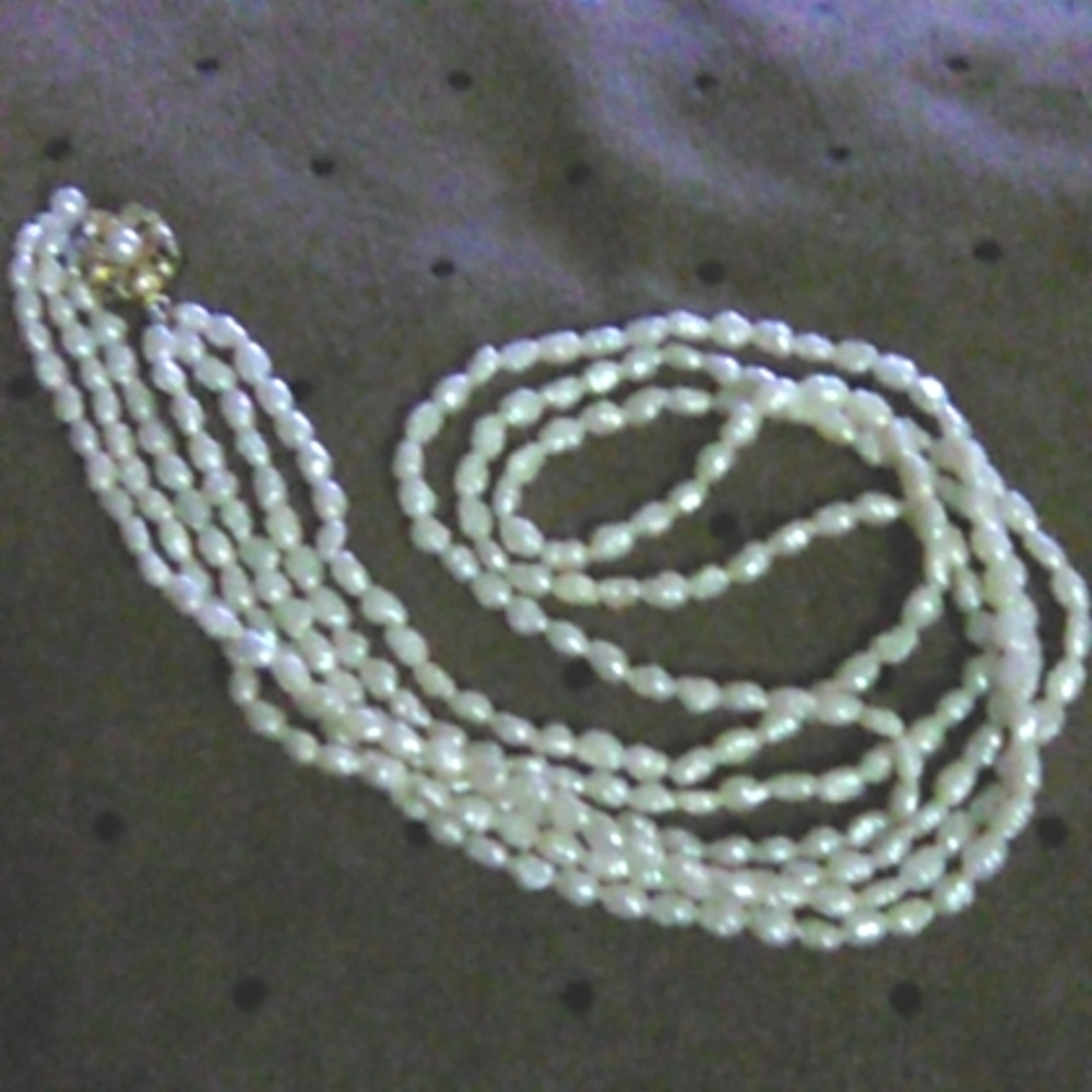 Beautiful pearl necklace vantage